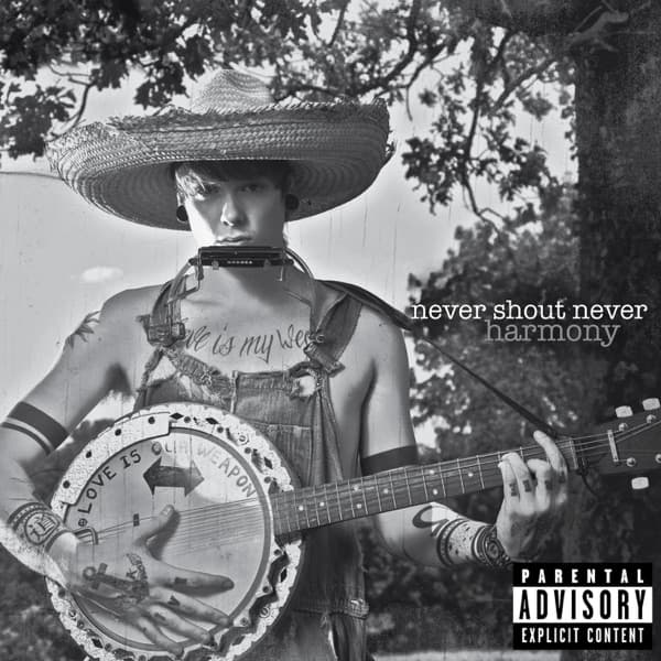 Harmony (Deluxe Version) by Never Shout Never, the album First Dance appears on