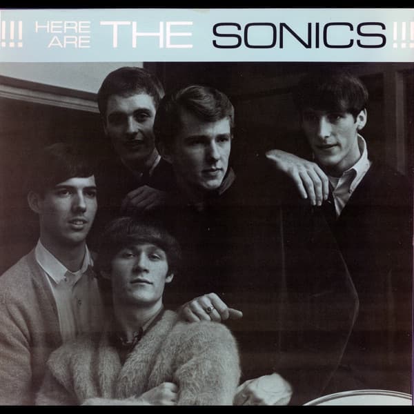 Have Love Will Travel - Single by The Sonics, the album Have Love Will Travel appears on
