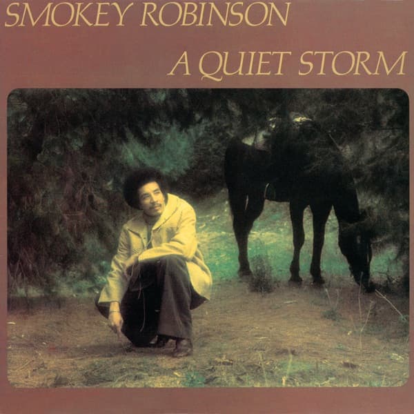 A Quiet Storm by Smokey Robinson, the album Quiet Storm appears on