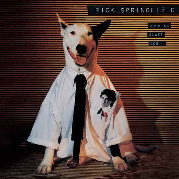 Working Class Dog by Rick Springfield, the album Jessie's Girl appears on