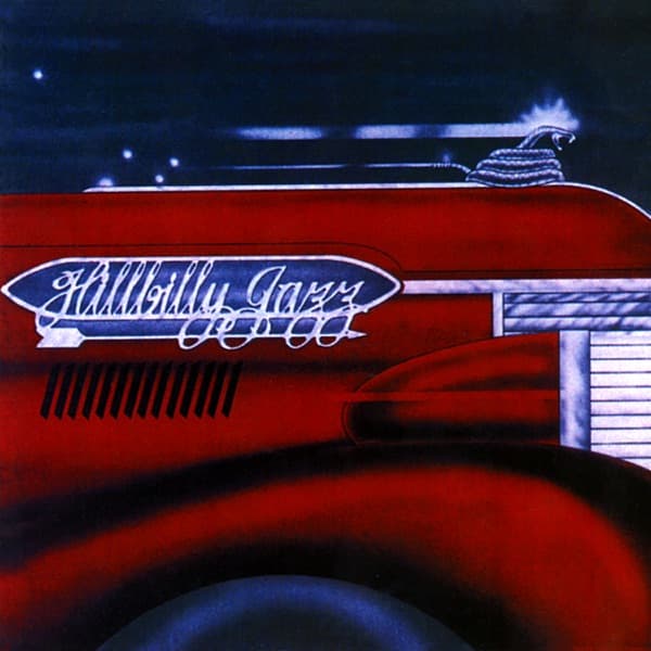 Hillbilly Jazz by Vassar Clements, the album Delta Blues appears on