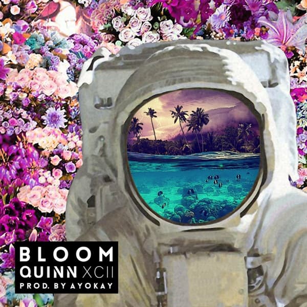 Bloom by Quinn XCII, the album New Wave appears on