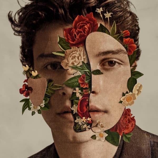 Shawn Mendes by Shawn Mendes, the album In My Blood appears on