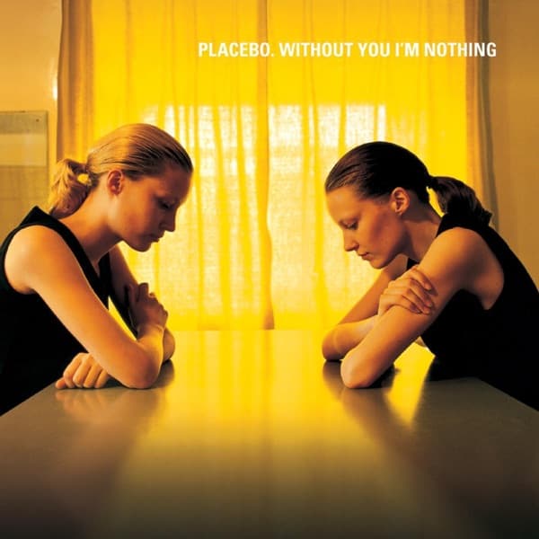 Without You I'm Nothing by Placebo, the album Every You Every Me appears on