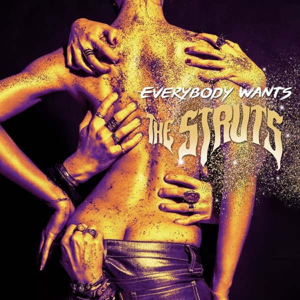 Everybody Wants by The Struts, the album Kiss This appears on