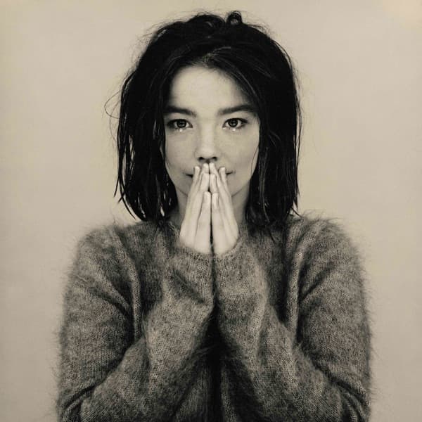 Debut by Björk, the album Like Someone In Love appears on