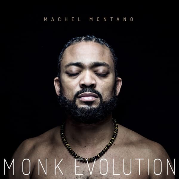 Monk Evolution by Machel Montano, the album Road Trip appears on