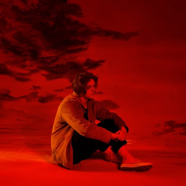 Divinely Uninspired To A Hellish Extent by Lewis Capaldi, the album Hold Me While You Wait appears on