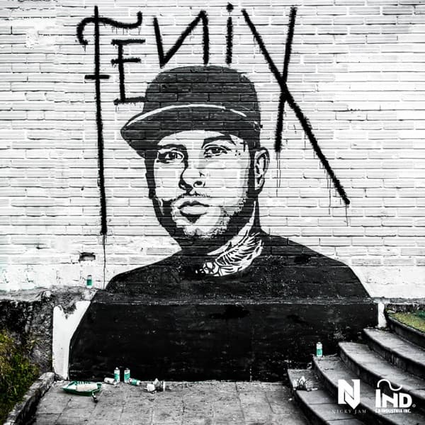 Fénix by Nicky Jam, the album Hasta el Amanecer appears on