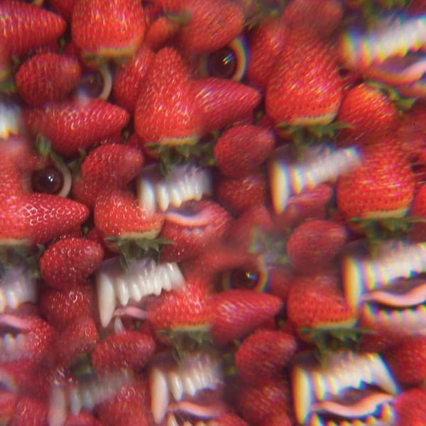 Floating Coffin by Thee Oh Sees, the album Toe Cutter - Thumb Buster appears on