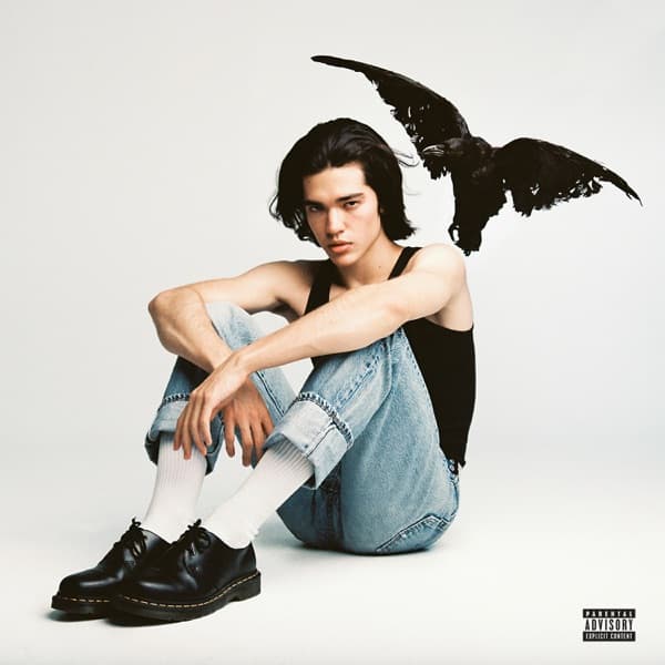 Kid Krow by Conan Gray, the album Heather appears on