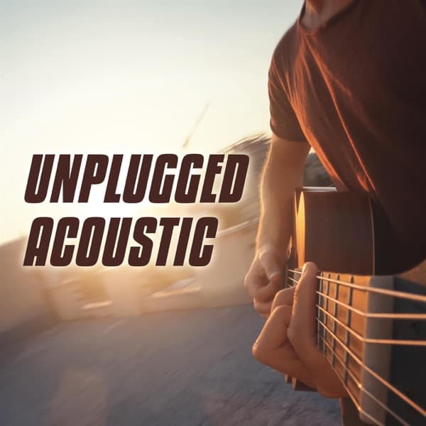 Unplugged Acoustic by James Blunt, the album Monsters appears on