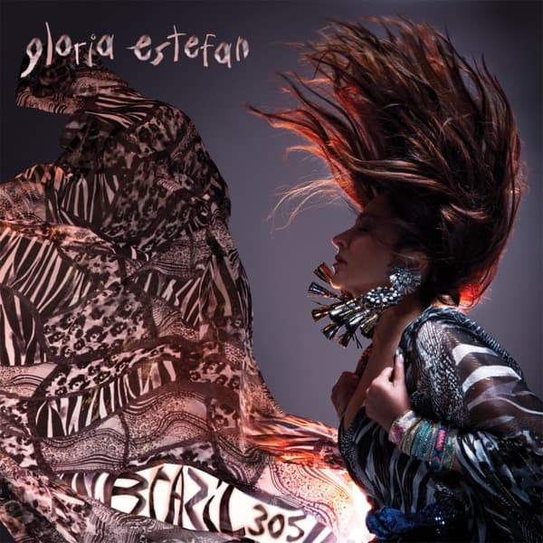 BRAZIL305 by Gloria Estefan, the album Samba appears on