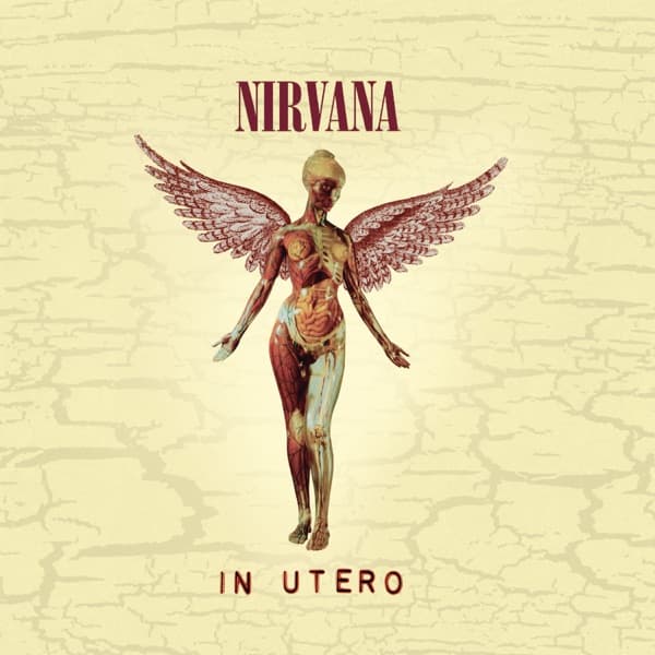 In Utero (20th Anniversary Edition) by Nirvana, the album Heart-Shaped Box appears on