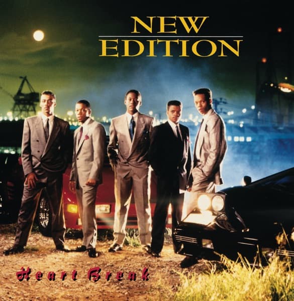 Heart Break by New Edition, the album Can You Stand the Rain appears on