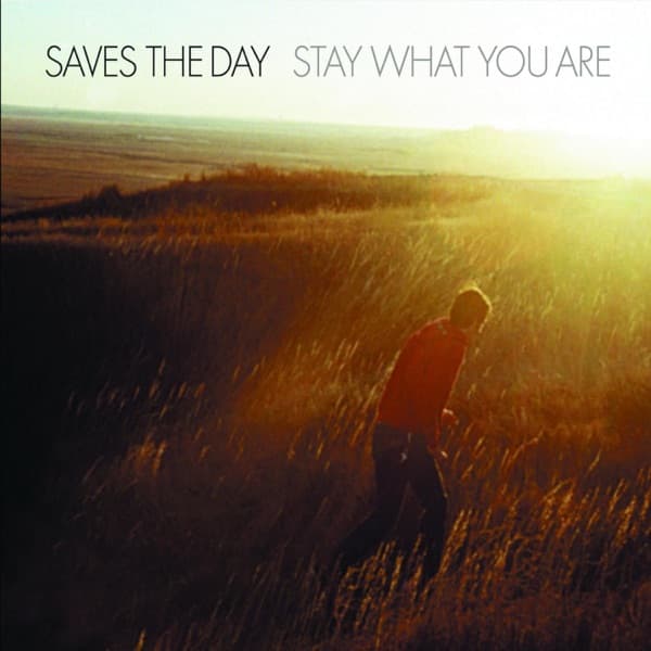 Stay What You Are by Saves The Day, the album At Your Funeral appears on