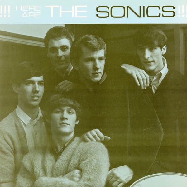 Here Are the Sonics by The Sonics, the album The Witch appears on