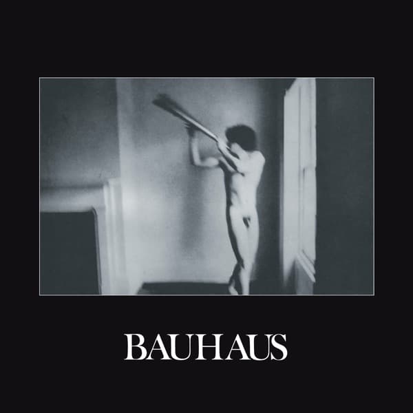 In the Flat Field by Bauhaus, the album In the Flat Field appears on