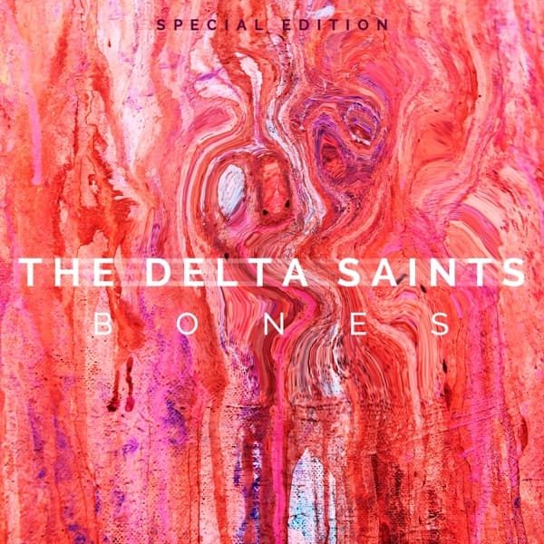 Bones (Special Edition) by The Delta Saints, the album Zydeco appears on