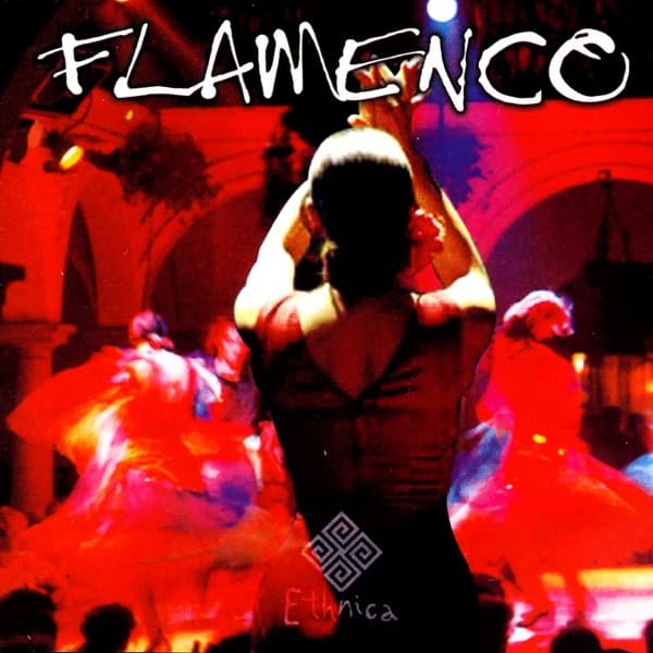 FLAMENCO GUITAR by Bruno Gennaro, the album ADAGIO DAL CONCERTO DI ARANJUEZ appears on