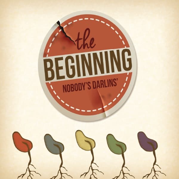 The Beginning by Nobody's Darlins', the album Delta Blues appears on